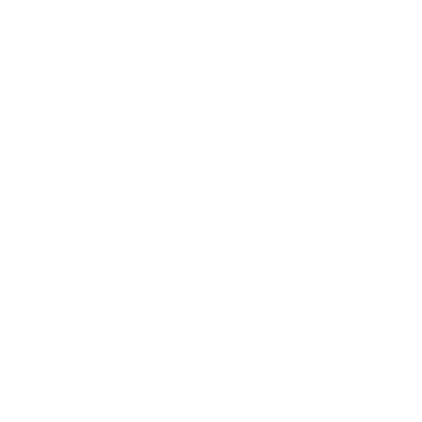Orca Security White